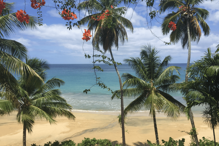 Tobago: Island Circle