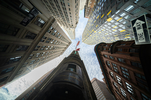 Old New York: Financial District & Immigrant History Tour Historic Downtown: 5-Hour Comprehensive Private Tour