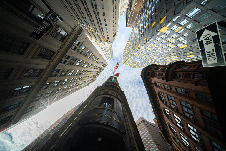 Old New York: Financial District & Immigrant History Tour Historic Downtown: 5-Hour Comprehensive Private Tour