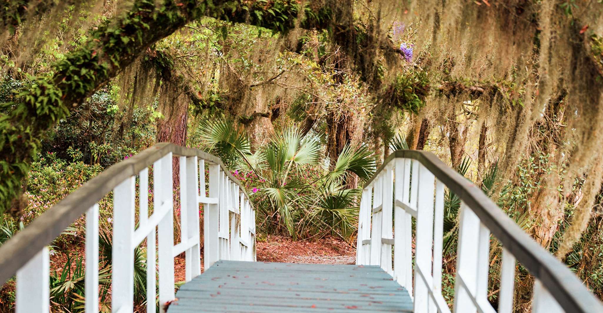 Charleston, Magnolia Plantation Entry & Tour with Transport - Housity