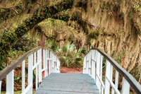 Charleston, Magnolia Plantation Entry & Tour con trasporto - Housity