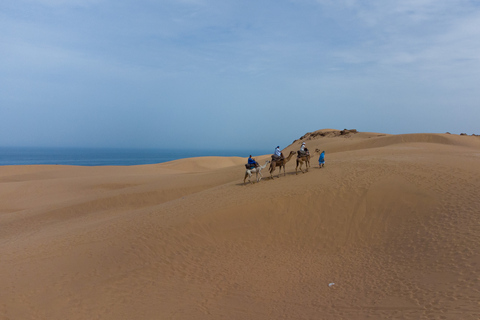 Van Agadir/Taghazout: Sahara-zandduinen met transfer