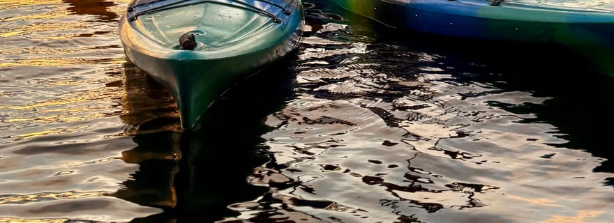 Excursion en kayak au lever du soleil dans le port de Sydney