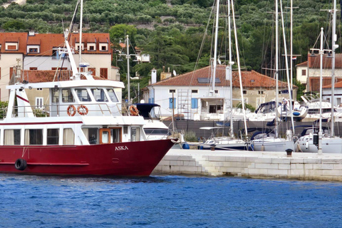 Medulin: 3h Ultra ALL-INCLUSIVE Sunset Dolphin Boat trip 3hours Dolphin Sunset watching with drinks+dinner sandraboat