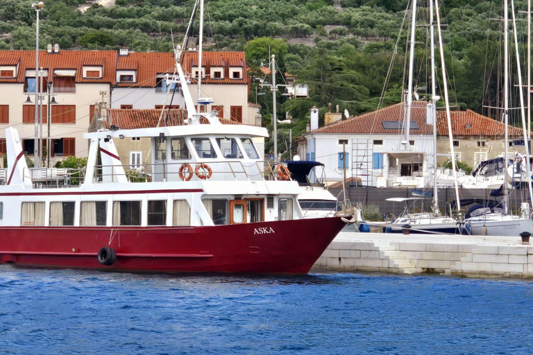 Medulin: 3h Ultra ALL-INCLUSIVE Sunset Dolphin Boat trip 3hours Dolphin Sunset watching with drinks+dinner sandraboat