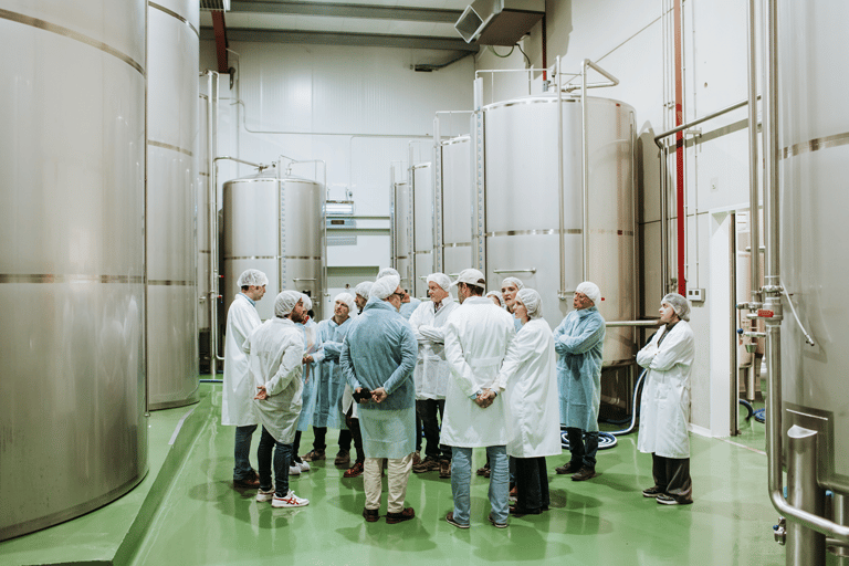 Toledo: Olive Oil Mill Tour & Tasting 4 EVOO Casas de Hualdo