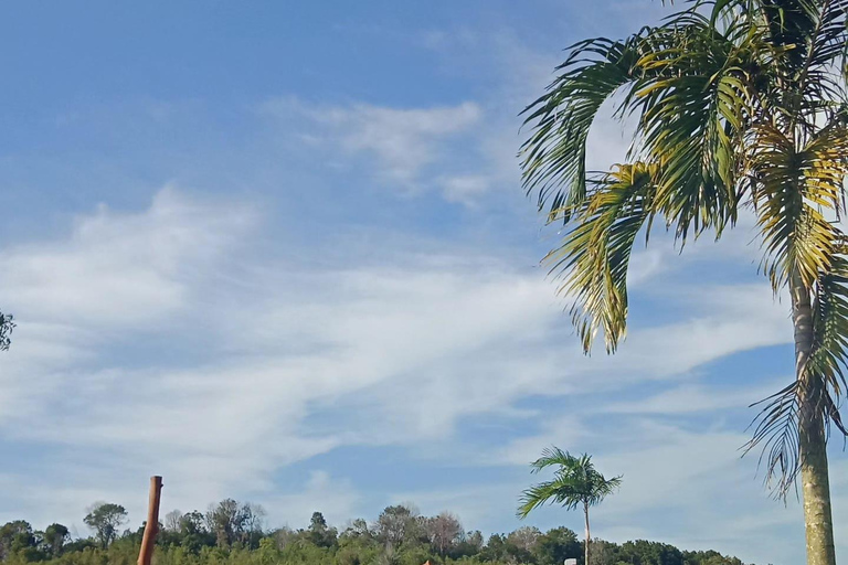 Bintan car charter + Driver Bintan Car Rent