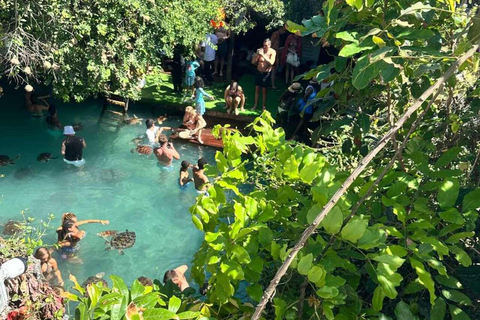 Salaam Cave Sea Turtles & Dine at The Rock Restaurant