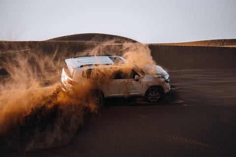 Dubai: Premium Desert Safari, Wildlife, Camel & Sandboarding