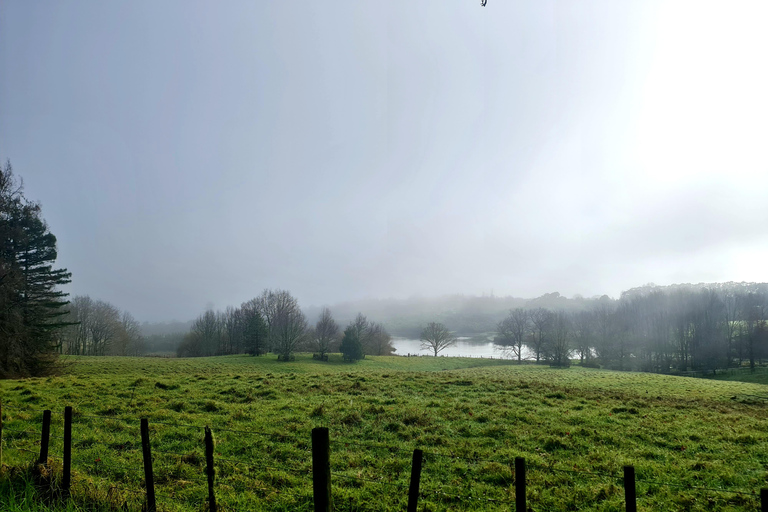 Naturrundtur i Auckland