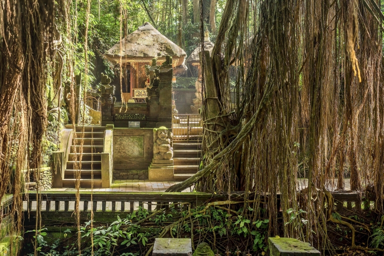 Bali Atv, Water Rafting et Monkey Forest TourRafting et visite de la forêt des singes