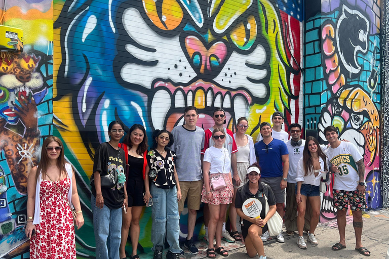 Wynwood Walls Street Art & Neighborhood Walking Tour
