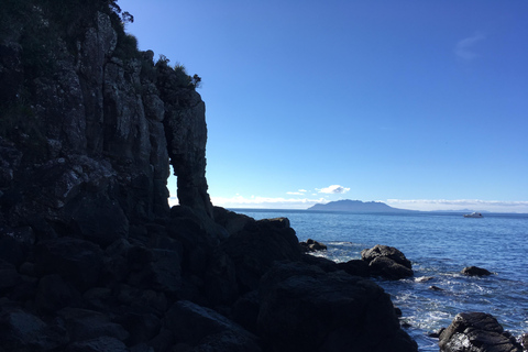 Outdoor Rock Climbing Auckland (Ti Point) - full day