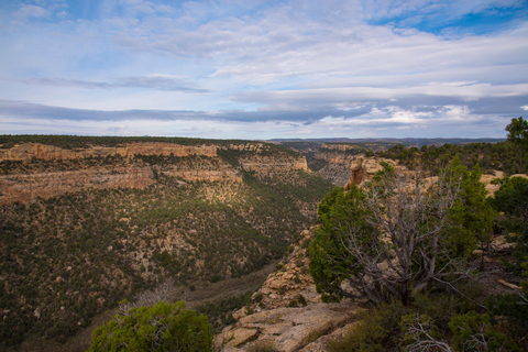 Mesa Verde: 700 Years Tour & Ranger-Guided Cliff House Visit Mesa Verde: 700 Years Tour - Morning Departure