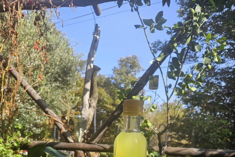 Mozzarella Gnocchi and Tiramisù Workshop in Amalfi Coast