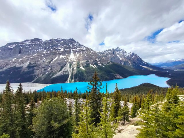 Lake Louise, Peyto Lake and Crowfoot Glacier from Calgary