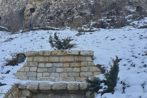 Bran Village & Burzenland Viewpoint Tour from Brașov