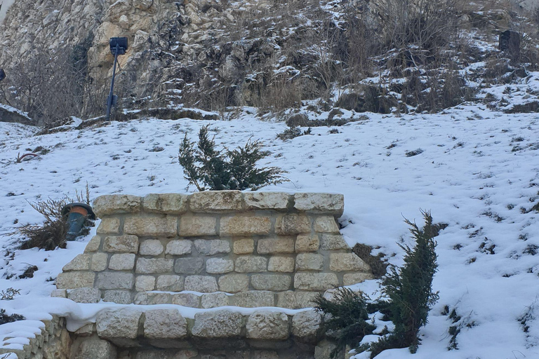 Bran Village & Burzenland Viewpoint Tour from Brașov