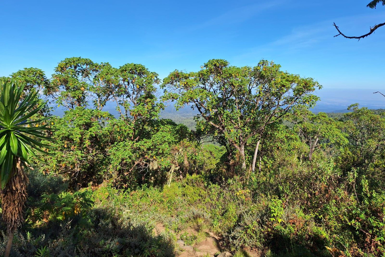 Conquer Mt. Kenya A 4-Day Sirimon to Chogoria Traverse