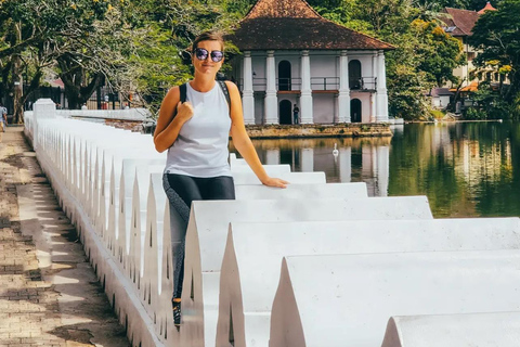 Bentota to Kandy Day Tour : Hidden Heritage, Tea Factory