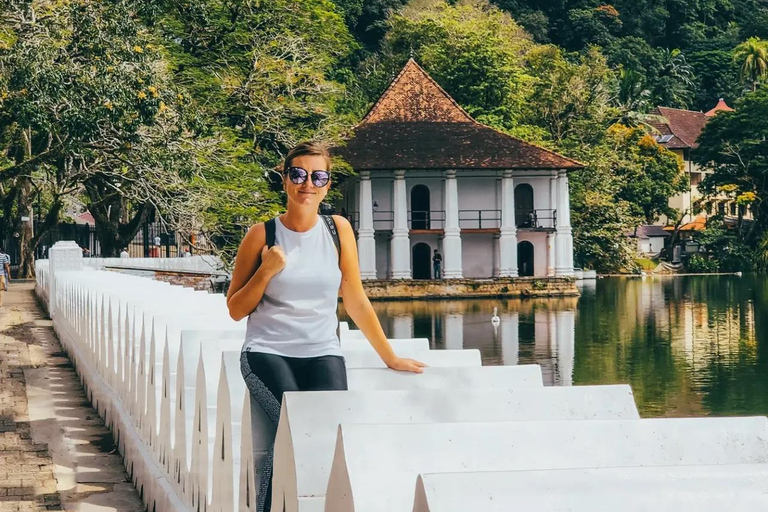 Bentota to Kandy Day Tour : Hidden Heritage, Tea Factory