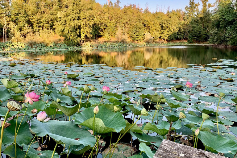 Novi Ligure: Vineyard Estate Tour & Lake Walk with Tasting