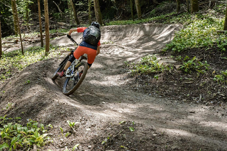 From Zurich: Mountain Magic on Two Wheels to Uetliberg