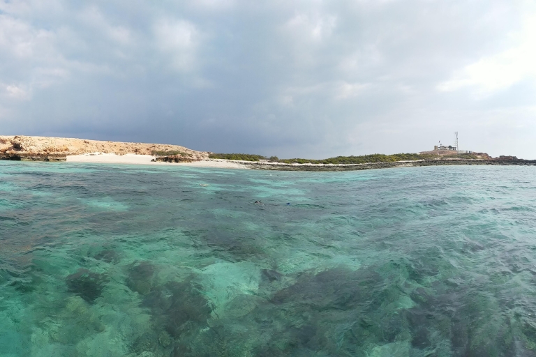 Muscat Dimaniyat Islands Snorkeling TourMuscat - wspólna wycieczka z rurką na wyspy Dimaniyat
