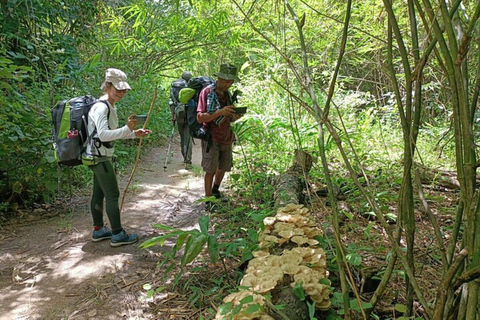 Phnom Penh: 3-Day Aural Mountain Trek Cambodia Tallest Peak