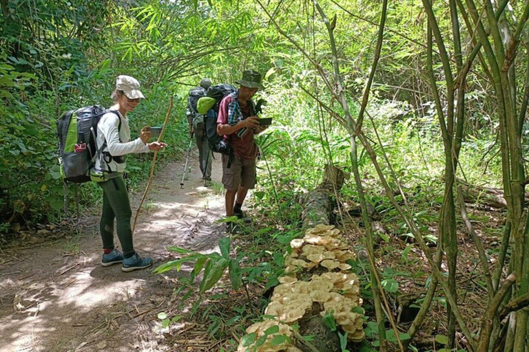 Phnom Penh: 3-Day Aural Mountain Trek Cambodia Tallest Peak