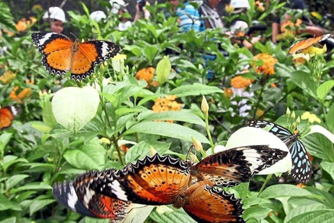 ZANZIBAR: Isola delle Prigioni, Foresta di Jozani e Butterfly CenterIL TOUR PRIVATO INCLUDE IL SERVIZIO DI PRELIEVO E RIENTRO IN HOTEL