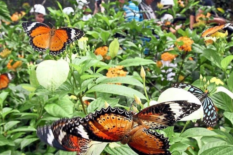 ZANZIBAR: Isola delle Prigioni, Foresta di Jozani e Butterfly CenterIL TOUR PRIVATO INCLUDE IL SERVIZIO DI PRELIEVO E RIENTRO IN HOTEL
