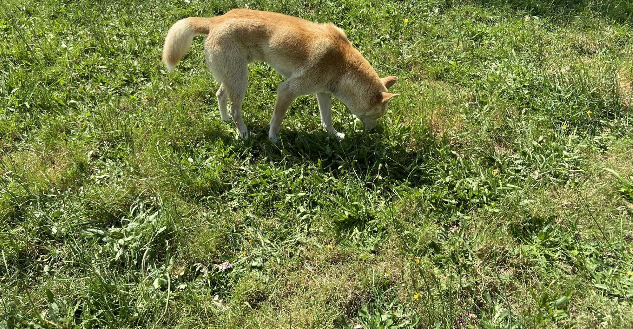 Melbourne: Moonlit Sanctuary and Brighton Beach Boxes Tour photo 8
