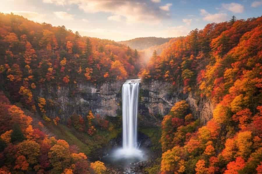 Von Tokio aus: Privater Tagestour zum Weltkulturerbe Nikko. Foto: GetYourGuide Von Tokio aus: Privater Tagestour zum Weltkulturerbe Nikko. Foto: GetYourGuide