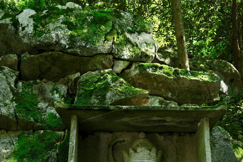 Shanghai: Hangzhou Day Trip with West Lake & Lingyin Temple Shanghai: Hangzhou Guided Day Trip By Bullet Train