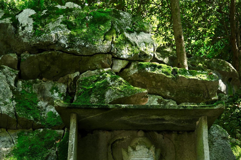 Shanghai: Hangzhou Day Trip with West Lake & Lingyin Temple Shanghai: Hangzhou Guided Day Trip By Bullet Train