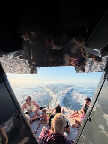 Poreč-Dolphin Safari Experience with Yacht