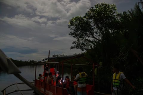 Bohol Firefly Watching: Loboc River Night Cruise - Image 2