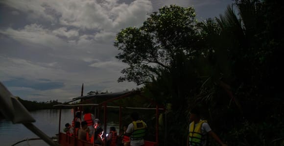 Bohol Firefly Watching: Loboc River Night Cruise