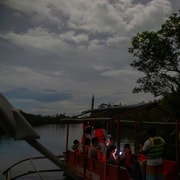 Bohol Firefly Watching: Loboc River Night Cruise
