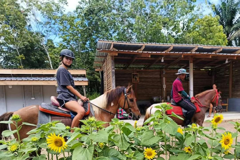 Ao Nang: Horse Riding Tour and kayaking clongrood