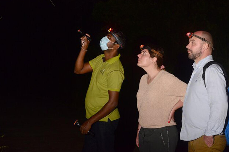 From Sigiriya: Sigiriya City Night Wildlife Safari Adventure