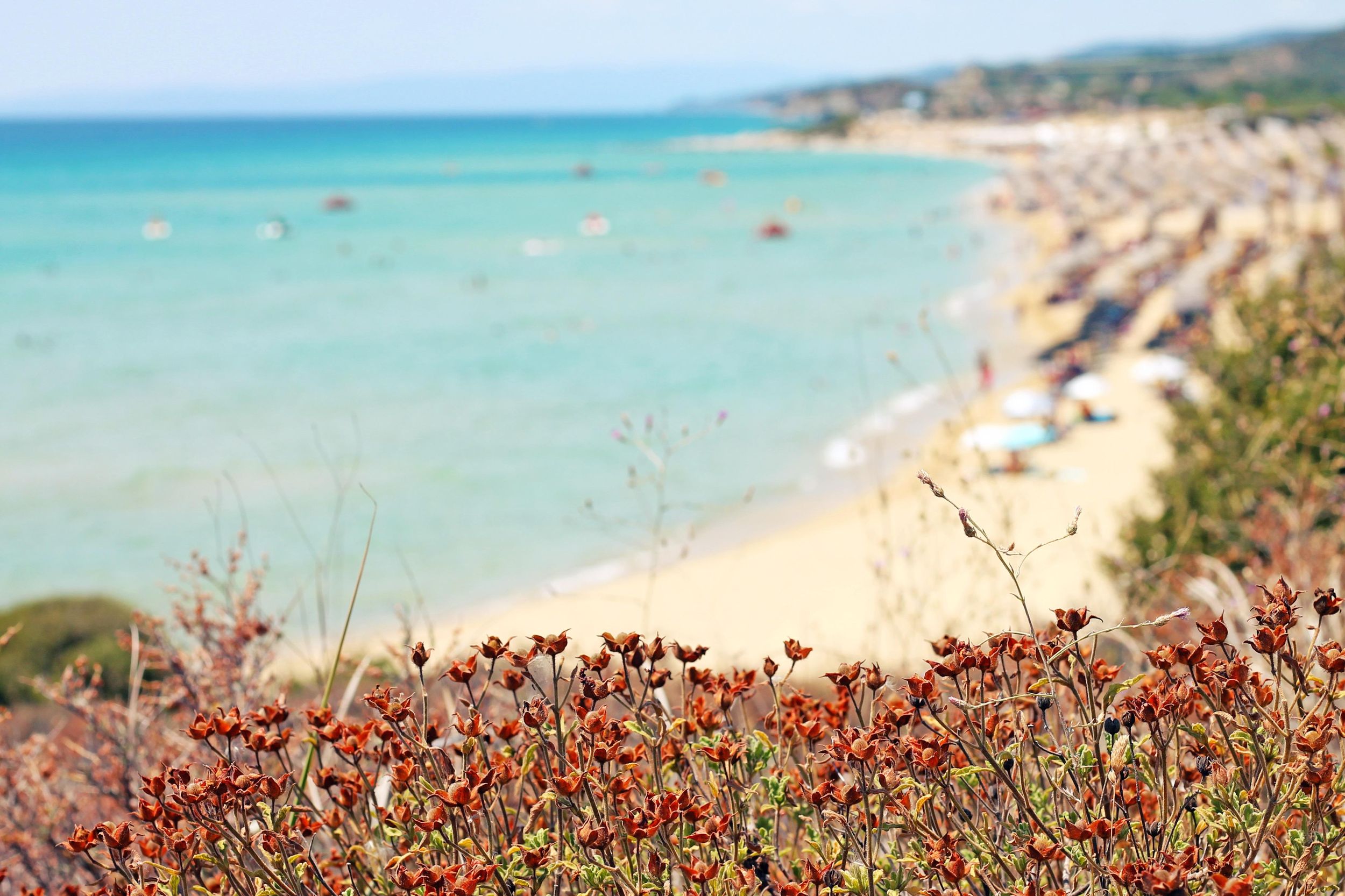 Von Kavala: Ausflug zum Strand von Ammolofoi