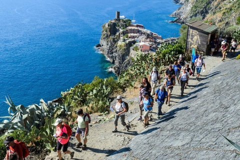 Cinque Terre & Pisa from Florence: Coastal Adventure & Hike Cinque Terre – All 5 Villages with Scenic Hike