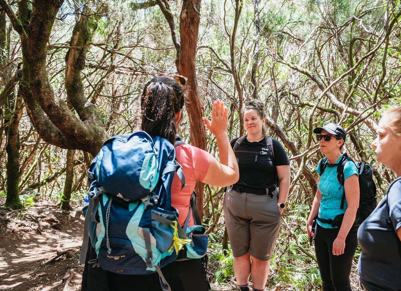 Madeira: Nyd en guidet gåtur i Levada i Rabaçal-dalen