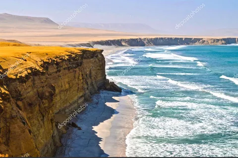 From Paracas: Private Tour Paracas National Reserve