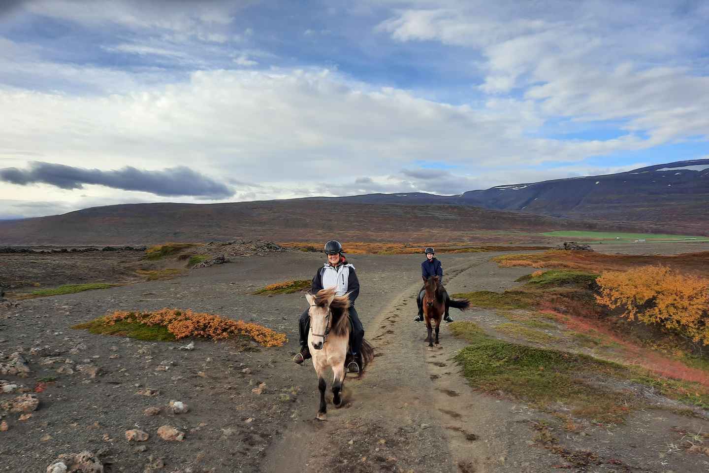 Norte de Islandia: Tour a Caballo