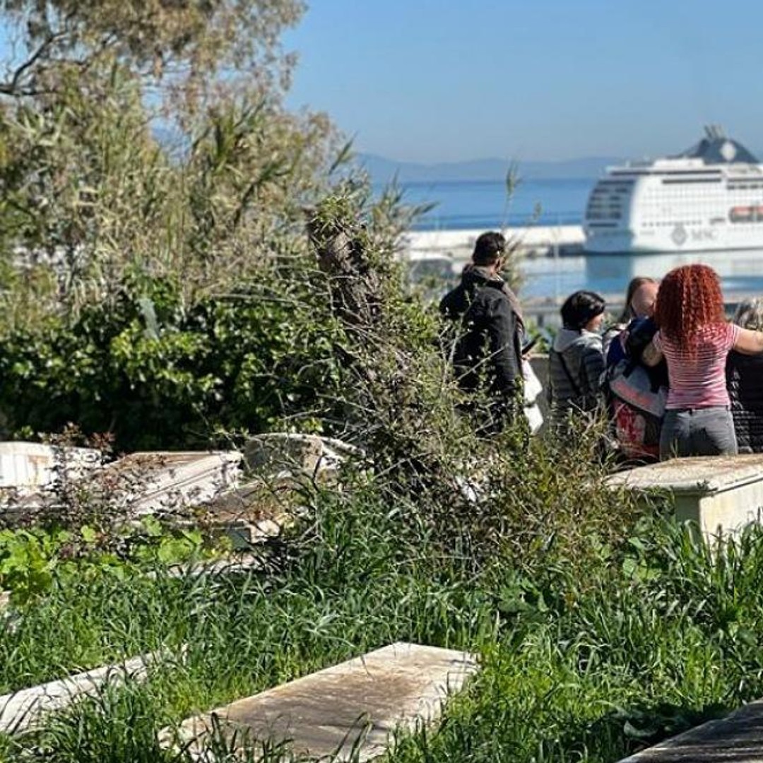 Tour complet de Tanger + balade à dos de chameau + visite culinaire + transport - dromadaire