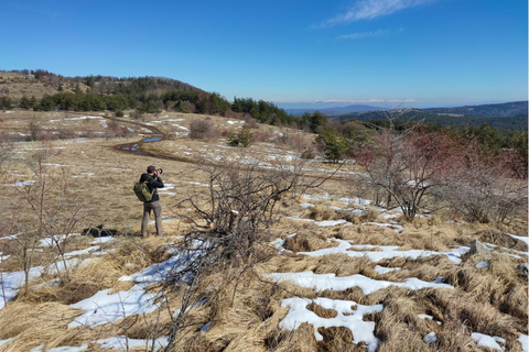 From Sofia: Wildlife Tracking & Search Science Expedition