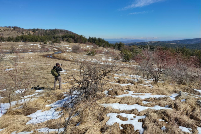 From Sofia: Wildlife Tracking & Search Science Expedition